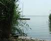 Balaton