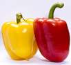 Paprika