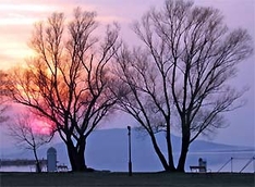 Balatonboglar