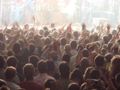 Fans