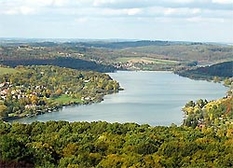 Orfü