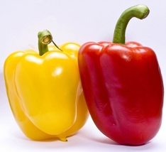 Paprika