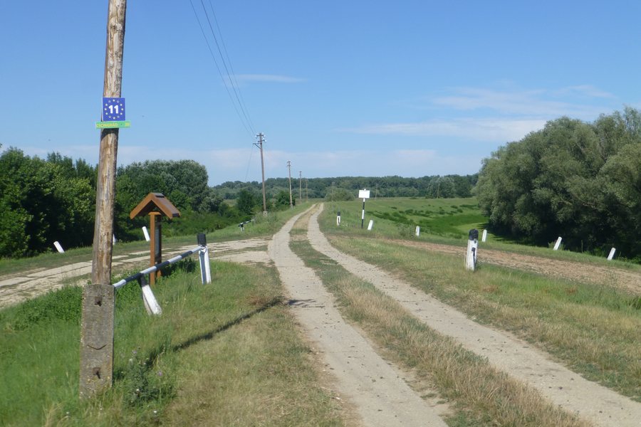 Csongrád-Nagyhajlat EuroVelo-11 Csongrád felé