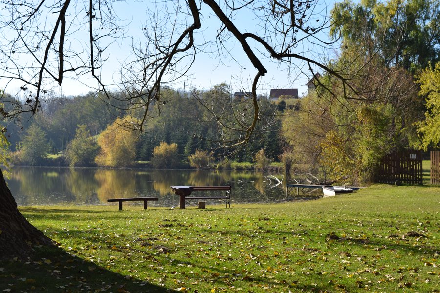 A Füzes tavat körülölelő park, Látrány, Somogy megye
