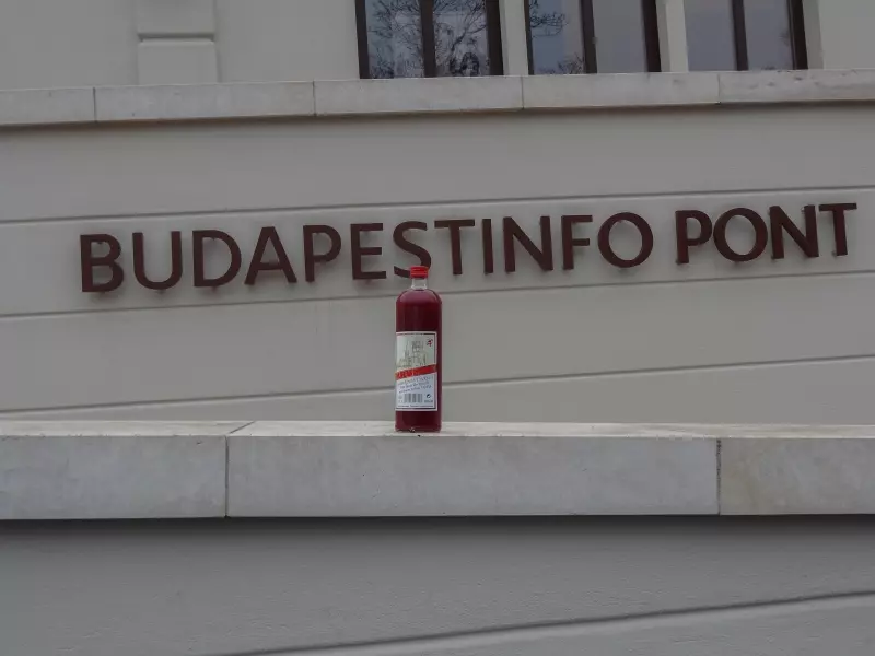 20131231-Budapest Info.webp