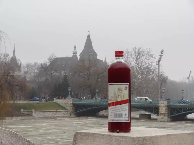 Burg Vajdahunyad und Brücke in Budapest