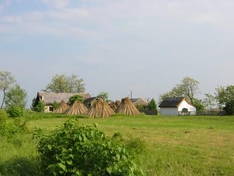 Puszta