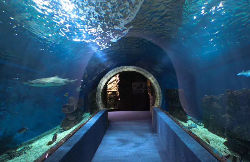Nyíregyháza Aquarium